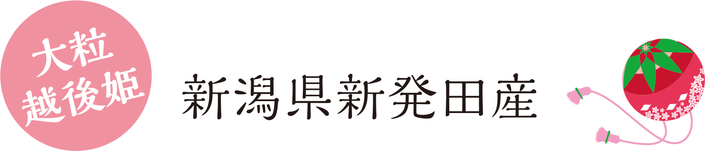 大粒越後姫 新潟県新発田産いちご